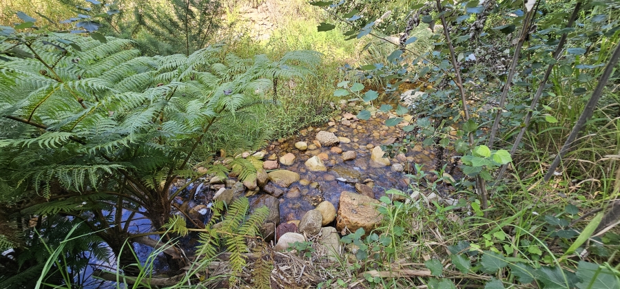 5 Bedroom Property for Sale in Swellendam Western Cape